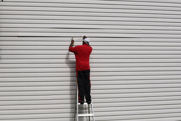 Best Custom Siding Design  in Ester, AK